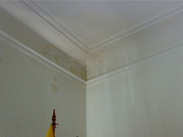 Feuchteflecken und Feuchtestreifen an Wänden und Decke in einer Wandecke